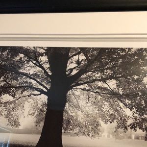 Meet your Posher, Mandy